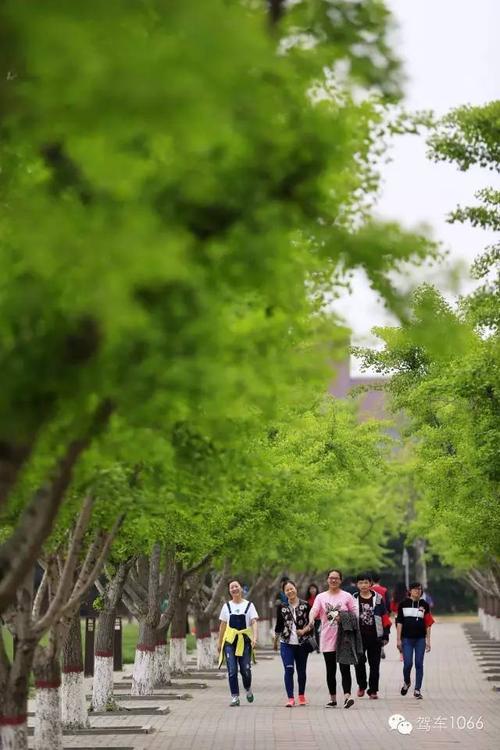 "郑在读诗"校园季暖春诗会在郑州大学温情上映